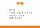 색채의 심리적 특성 7페이지