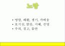 색채의 심리적 특성 9페이지