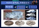 석면과 라돈 4페이지