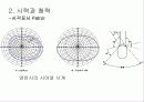 Human Error(인간의 실수) 11페이지