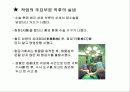 Human Error(인간의 실수) 33페이지