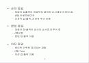 파일의 조작 3페이지