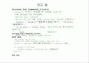 자료형과 연산 58페이지