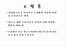 광고 속 다양한 기법 11페이지