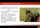 CF & 소비자행동_효과적인 광고와 비효과적인 광고비교 15페이지