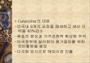 Caterpillar와 Komatsu 5페이지