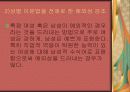 대중매체 성차별적 언어 표현의 사례 11페이지