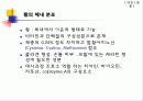 무기질(황,sulfur) 6페이지