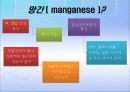 기타무기질(망간, 코발트, 아연) 3페이지