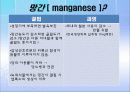 기타무기질(망간, 코발트, 아연) 5페이지