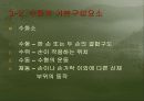 청각 장애인의 언어교육 16페이지