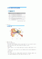 장해인이해와봉사 32페이지