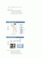 장해인이해와봉사 43페이지