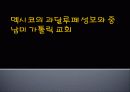 멕시코의 과달루페 성모와 중남미 가톨릭 교회  1페이지