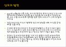 멕시코의 과달루페 성모와 중남미 가톨릭 교회  5페이지