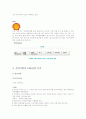 글로벌기업들이 해외 현지시장에서 펼치고 있는 CSR전략과 성과에 대한 사례 연구  9페이지