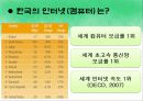 문화교육론- 한국의 인터넷 문화 4페이지