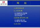 글로벌 재무 전략분석 2페이지