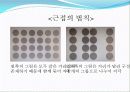인지심리학 (2) 16페이지