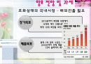아모레 퍼시픽 성공전략 17페이지