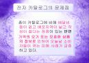 인터넷 구매의 피해사례와 청약철회  5페이지