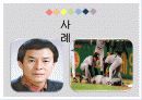 응급상황 24시 심폐소생술 2페이지