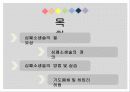 응급상황 24시 심폐소생술 3페이지