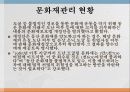문화재 소실 및 훼손 사례를 통한 문화재 활용 방안 및 개선  10페이지