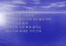 삼성핸드폰 마케팅 성공사례 15페이지