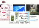 Korea Colmar 26페이지