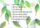 충주호 사랑 호수 축제 (재정적 문제점과 개선방안) 2페이지