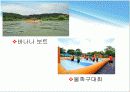 충주호 사랑 호수 축제 (재정적 문제점과 개선방안) 5페이지