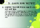 소비자 피해 12페이지