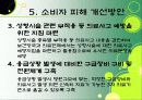 소비자 피해 13페이지