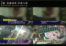 [소비자행동론] 애완견 피해사례 13페이지