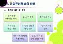 [종합편성채널]종합편성채널(종편) 시행의 빛과 그림자 - 종합편성채널(종편)의 필요성과 중요성 및 문제점, 개선 과제 8페이지