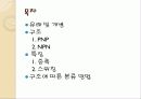 트랜지스터1 2페이지