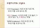 트랜지스터1 5페이지