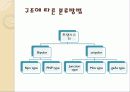 트랜지스터1 34페이지