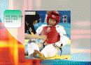 태권도 선수 상해의 예방과 치료 방안 5페이지
