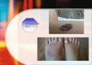 태권도 선수 상해의 예방과 치료 방안 24페이지