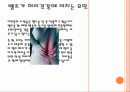 패션아이템이 인체에 미치는 요인 11페이지
