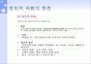 국제 마케팅의 정치적 환경 4페이지