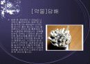 약물중독의 폐해 7페이지