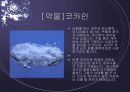 약물중독의 폐해 10페이지
