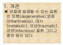 관절 질환 3페이지