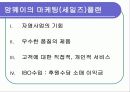 기회라고 불리우는 회사 암웨이 5페이지