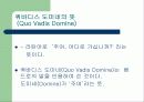 쿼바디스 도미네 2페이지