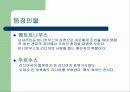 쿼바디스 도미네 7페이지