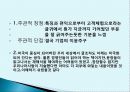 체험 마케팅 12페이지